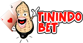 TININDOBET.COM